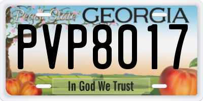 GA license plate PVP8017