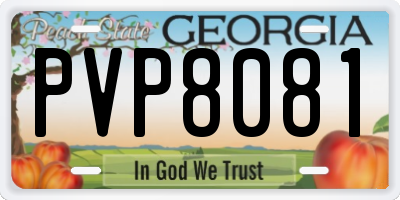 GA license plate PVP8081
