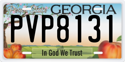 GA license plate PVP8131