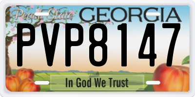 GA license plate PVP8147