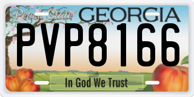 GA license plate PVP8166