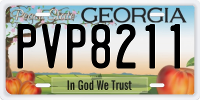GA license plate PVP8211