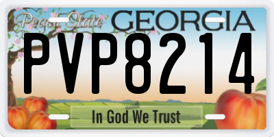 GA license plate PVP8214