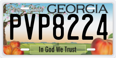 GA license plate PVP8224