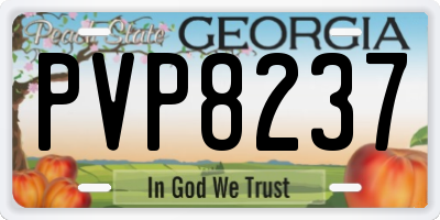 GA license plate PVP8237