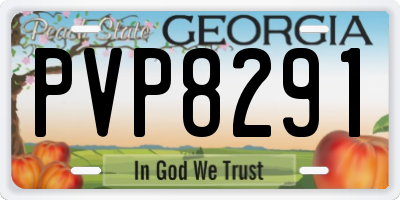GA license plate PVP8291
