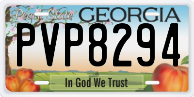 GA license plate PVP8294