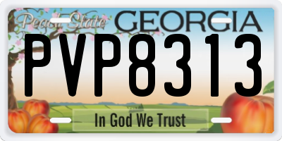 GA license plate PVP8313