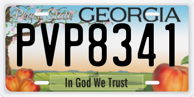 GA license plate PVP8341