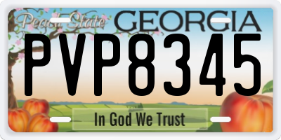 GA license plate PVP8345