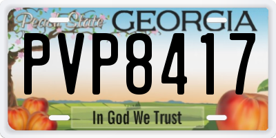 GA license plate PVP8417