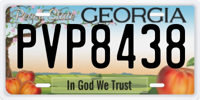 GA license plate PVP8438