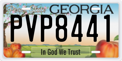 GA license plate PVP8441