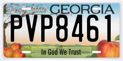 GA license plate PVP8461