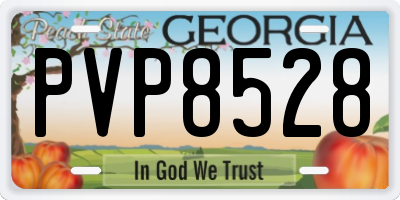 GA license plate PVP8528