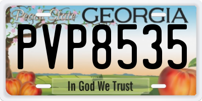 GA license plate PVP8535
