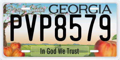 GA license plate PVP8579