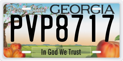 GA license plate PVP8717