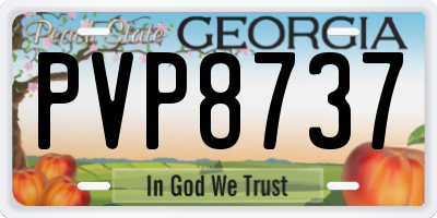 GA license plate PVP8737