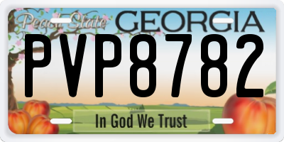 GA license plate PVP8782