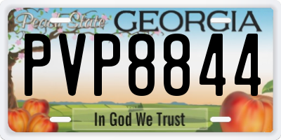 GA license plate PVP8844