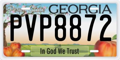 GA license plate PVP8872