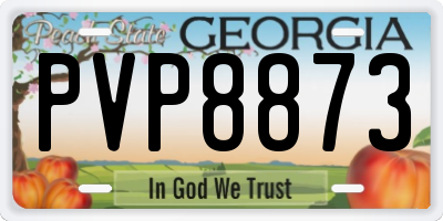 GA license plate PVP8873