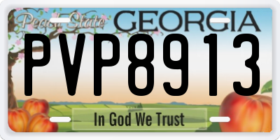 GA license plate PVP8913