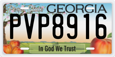 GA license plate PVP8916