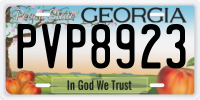 GA license plate PVP8923