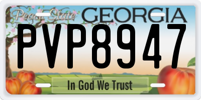 GA license plate PVP8947