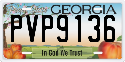 GA license plate PVP9136