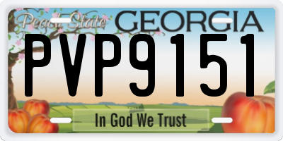 GA license plate PVP9151