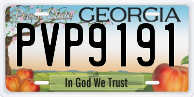 GA license plate PVP9191