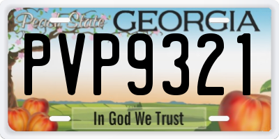 GA license plate PVP9321