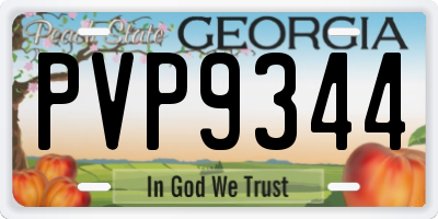 GA license plate PVP9344
