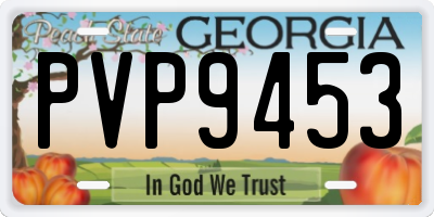 GA license plate PVP9453