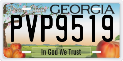 GA license plate PVP9519