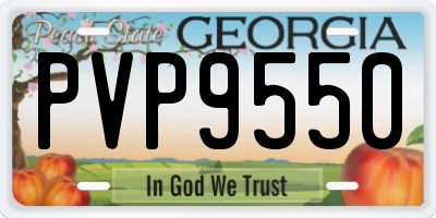 GA license plate PVP9550