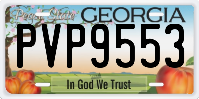 GA license plate PVP9553