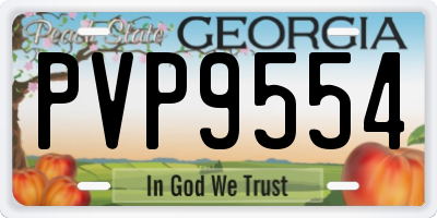 GA license plate PVP9554