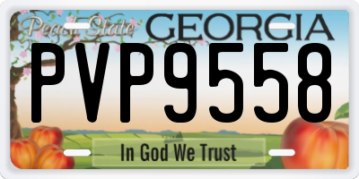 GA license plate PVP9558