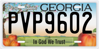 GA license plate PVP9602