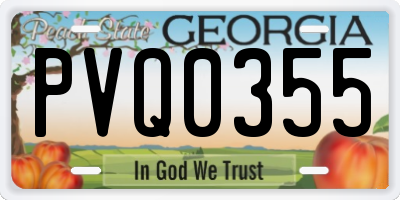 GA license plate PVQ0355
