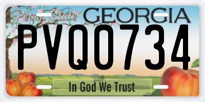 GA license plate PVQ0734