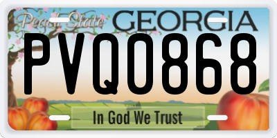 GA license plate PVQ0868