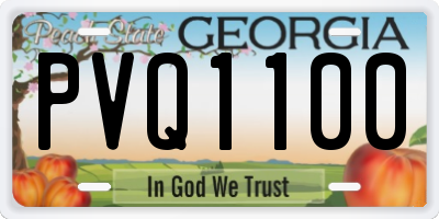 GA license plate PVQ1100