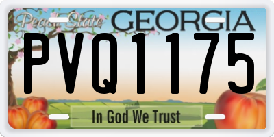GA license plate PVQ1175