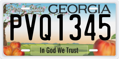GA license plate PVQ1345