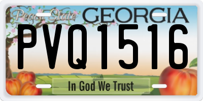 GA license plate PVQ1516